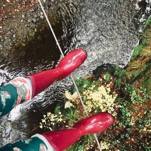 Meet your Posher, Govinda